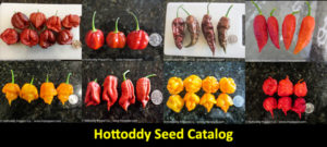Hottoddy Pepper Seeds